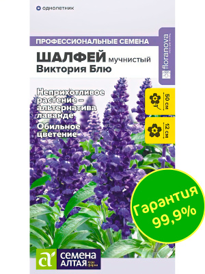 Шалфей Виктория Блю мучнистый [Семена алтая] купить с доставкой ценящийся садоводами за роскошную темно-синюю расцветку цветочных колосьев