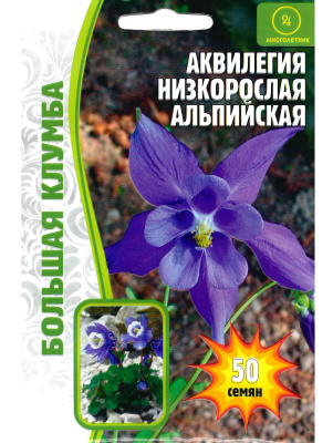 Аквилегия Альпийская Большая клумба [Семена редких растений] купить с доставкой ​Необычный вид Аквилегии, который в дикой природе произрастает в горной местности. Компактный, низкорослый с крупными цветами! Одно из главных достоинств – неприхотливость и нетребовательность к освещению, благодаря чему она пользуется все большей популярностью у ландшафтных дизайнеров.