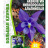 Аквилегия Альпийская Большая клумба [Семена редких растений] купить с доставкой - Аквилегия Альпийская Большая клумба [Семена редких растений] купить с доставкой