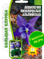 Аквилегия Альпийская Большая клумба [Семена редких растений]