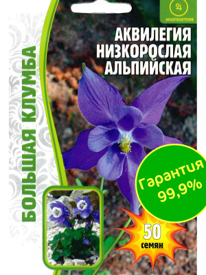Аквилегия Альпийская Большая клумба [Семена редких растений] купить с доставкой ​Необычный вид Аквилегии, который в дикой природе произрастает в горной местности. Компактный, низкорослый с крупными цветами! Одно из главных достоинств – неприхотливость и нетребовательность к освещению, благодаря чему она пользуется все большей популярностью у ландшафтных дизайнеров.
