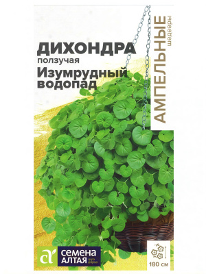 Дихондра Изумрудный Водопад [Семена алтая] купить с доставкой Дихондра «Изумрудный водопад» — это удивительное декоративное растение, которое завораживает своей красотой и характерным каскадным ростом. Её зелёные водопады преобразят любой уголок вашего сада, придав ему свежесть и гармонию. Эта лиана с мягкими и плотными листьями представляет собой идеальное решение для тех, кто хочет добавить в свой сад мягкие зелёные акценты, создавая эффект естественного водоёма или зелёного ковра.
