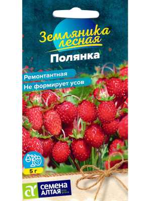 Земляника Полянка ремонтантная [Семена алтая] купить с доставкой 