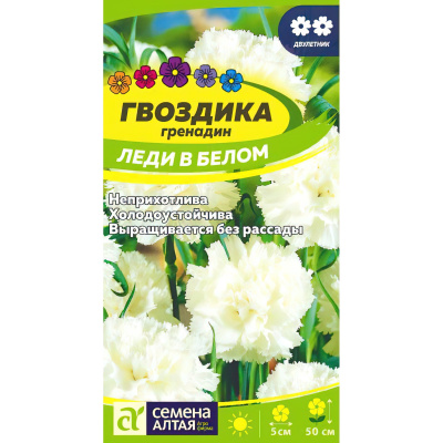Гвоздика гренадин Леди в белом [Семена алтая] купить с доставкой махровые белоснежные цветы раскрываются на тонких крепких стеблях и радуют своим пряным ароматом с поздней весны до середины лета