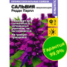 Сальвия Редди Парпл сверкающая [Семена алтая]