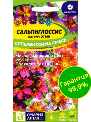 Сальпиглоссис Супербиссима смесь [Семена алтая] купить с доставкой Сальпиглоссис Супербиссима смесь — это настоящая палитра красок для вашего сада! С яркими цветами в оттенках от желтого до бордового, с характерными полосками, этот цветок привлекает внимание и создает неповторимый визуальный эффект. Интересный факт: сальпиглоссис иногда называют «живым бархатом» благодаря бархатистой текстуре своих лепестков. Сорт прекрасно подходит для создания ярких цветочных композиций и идеально дополнит любые цветники или бордюры.