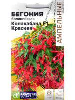 Бегония Копакабана Красная боливийская [Семена алтая]