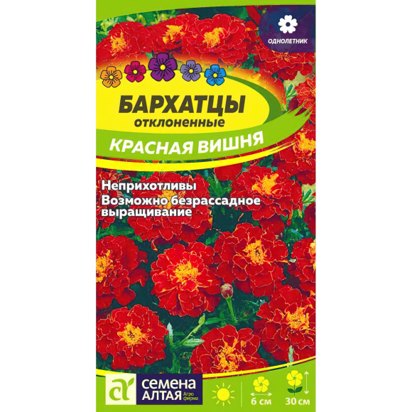 Бархатцы Красная Вишня [Семена алтая] купить с доставкой