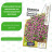 Бакопа Пинктопия Розовый фонтан [Семена алтая] купить с доставкой - Бакопа Пинктопия Розовый фонтан [Семена алтая] купить с доставкой