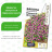 Бакопа Пинктопия Розовый фонтан [Семена алтая] купить с доставкой - Бакопа Пинктопия Розовый фонтан [Семена алтая] купить с доставкой