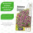 Бакопа Пинктопия Розовый фонтан [Семена алтая] купить с доставкой - Бакопа Пинктопия Розовый фонтан [Семена алтая] купить с доставкой