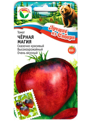 Томат Черная магия [Сибирский сад] купить с доставкой ​Томат «Чёрная магия» — это сорт, который пленяет своим таинственным внешним видом и насыщенным, глубоким вкусом. Сочные плоды, с темно-коричневыми и бордовыми оттенками, напоминают драгоценные камни, которые сверкают на фоне зелёной листвы. Этот сорт, несомненно, станет изюминкой не только вашего огорода, но и летнего стола, привлекая внимание не только своим красивым цветом, но и исключительным вкусом.