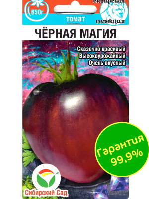 Томат Черная магия [Сибирский сад] купить с доставкой ​Томат «Чёрная магия» — это сорт, который пленяет своим таинственным внешним видом и насыщенным, глубоким вкусом. Сочные плоды, с темно-коричневыми и бордовыми оттенками, напоминают драгоценные камни, которые сверкают на фоне зелёной листвы. Этот сорт, несомненно, станет изюминкой не только вашего огорода, но и летнего стола, привлекая внимание не только своим красивым цветом, но и исключительным вкусом.