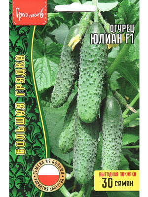 Огурец Юлиан F1 самоопыляемый [Семена редких растений] купить с доставкой Ровные, красивые огурчики, которые одинаково хороши как в свежем виде, так и для консервации.