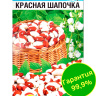 Фасоль Красная шапочка [Сибирский сад]
