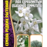 Лох Серебристый Elaeagnus commutata [Семена редких растений]
