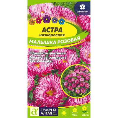 Астра Малышка Розовая [Семена алтая] купить с доставкой очаровательный цветок с невероятно крупными соцветиями для своего небольшого роста