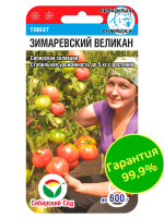 Томат Зимаревский великан [Сибирский сад]