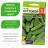 Огурец Кустовой [Семена алтая] купить с доставкой - Огурец Кустовой [Семена алтая] купить с доставкой