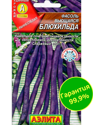 Фасоль Блюхильда спаржевая вьющаяся [Аэлита] купить с доставкой Блюхильда - это сорт спаржевой фасоли с фиолетовыми стручками. Стручки имеют насыщенный фиолетовый цвет. Они плотные, мясистые и сочные. Вкус у них сладкий, с небольшой горчинкой. Со стручков фасоли можно приготовить множество блюд, в том числе салаты, супы, рагу.