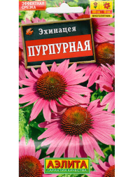 Эхинацея Пурпурная [Аэлита]