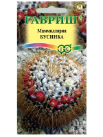 Маммиллярия  Бусинка  [Гавриш]