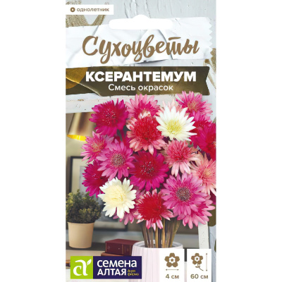 Ксерантемум Смесь окрасок [Семена алтая] купить с доставкой можно целое лето любоваться фиолетовыми, сиреневыми, белыми цветами разных оттенков