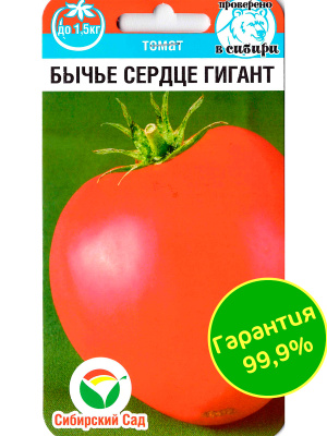 Томат Бычье сердце гигант [Сибирский сад] купить с доставкой Томат Бычье сердце - один из лучших салатных сортов с необычной сердцевидной формой и превосходными вкусовыми качествами. Он обладает плотной и вкусной мякотью, а также ярким ароматом. Садоводы ценят сорт за неприхотливость в выращивании и крупные плоды.