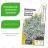 Бакопа Блютопия Голубой фонтан [Семена алтая] купить с доставкой - Бакопа Блютопия Голубой фонтан [Семена алтая] купить с доставкой