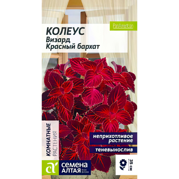Колеус Визард Красный бархат [Семена алтая] купить с доставкой