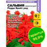 Сальвия Редди Брайт ред сверкающая [Семена алтая]