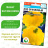 Патиссон НЛО оранжевый [Сибирский сад] купить с доставкой - Патиссон НЛО оранжевый [Сибирский сад] купить с доставкой