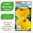 Патиссон НЛО оранжевый [Сибирский сад] купить с доставкой - Патиссон НЛО оранжевый [Сибирский сад] купить с доставкой