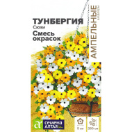 Тунбергия Сюзи Смесь окрасок [Семена алтая]