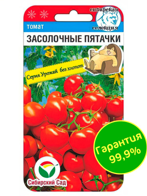 Томат Засолочные пятачки [Сибирский сад] купить с доставкой это уникальная новинка 2022 года, которая стала настоящим подарком для сибирских огородников