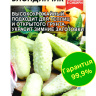 Огурец Блондинчик [Семена алтая]