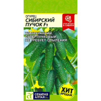 Огурец Сибирский Пучок [Семена алтая]