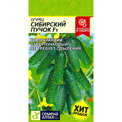 Огурец Сибирский Пучок [Семена алтая] купить с доставкой Огурцы небольшие, но невероятно вкусные, хрустящие и ароматные с абсолютным отсутствием горечи.