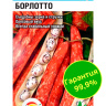 Фасоль Борлотто [Сибирский сад]