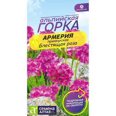 Армерия Блестящая роза приморская [Семена алтая] купить с доставкой его пышные фиалково-розовые соцветия гармонично дополняют любую цветочную композицию и превращают самый неказистый каменистый участок в живописную зону отдыха