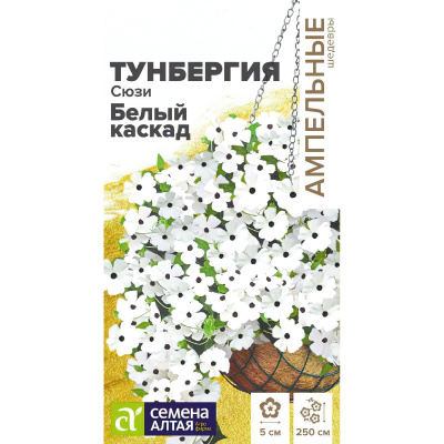 Тунбергия Сюзи Белый каскад крылатая [Семена алтая] купить с доставкой тунбергия крылатая сюзи белый каскад поможет создать романтическую атмосферу в саду, украсит беседку или террасу