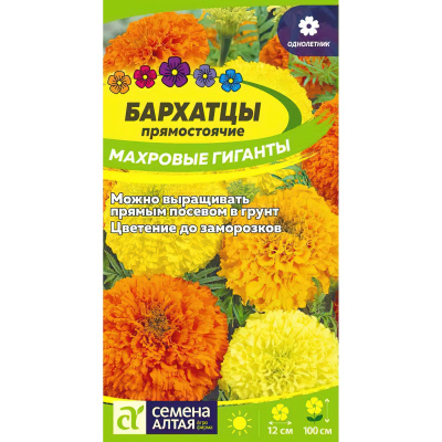 Бархатцы Махровые Гиганты [Семена алтая] купить с доставкой один из лучших сортов бархатцев с крупными махровыми соцветиями