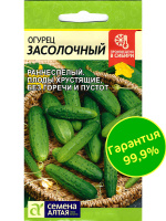 Огурец Засолочный [Семена алтая]