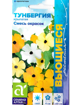 Тунбергия Смесь окрасок крылатая [Семена алтая] купить с доставкой Тунбергия смесь окрасок крылатая украсит сад и задекорирует неприглядные стены хозяйственных построек или забор. Эта очаровательная лиана с густой листвой, скрывающей побеги, и россыпью ярких цветков надолго задерживает взгляд. Прелестные, милые цветы появляются на ней каждый день - на смену отцветшим приходят новые, поэтому Тунбергия на протяжении всего лета радует обильным цветением.