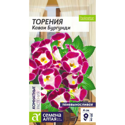 Торения Каваи Бургунди [Семена алтая] купить с доставкой это яркое, привлекательное растение, отлично подходящее для домашнего выращивания