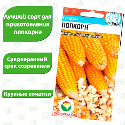 Кукуруза Попкорн [Сибирский сад] купить с доставкой Кукуруза Попкорн – это сорт для настоящих ценителей этой воздушной закуски. Высокоурожайный сорт с большим выходом лопающихся при нагревании зёрен. Кукуруза попкорн имеет несколько существенных отличий от обычных сортов. У ее зерен более гладка и «глянцевая» поверхность, а кожица тонкая и твердая. В кукурузе для попкорна содержится значительно меньшее количество крахмала чем в других сортах.