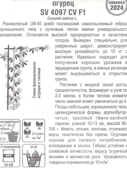 Огурец SV4097CV [Сибирский сад] купить с доставкой