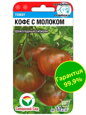 Томат Кофе с молоком [Сибирский сад] купить с доставкой интересный представитель темноплодных сортов