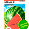 Арбуз Барака [Сибирский сад]