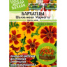 Бархатцы Шаловливая Мариетта [Семена алтая]